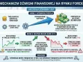 Dźwignia finansowa 1:30 na Forex. 1000 USD depozytu pozwala kontrolować pozycję 30 000 USD. Ruch ceny o 1% to 30% zysku lub straty depozytu.