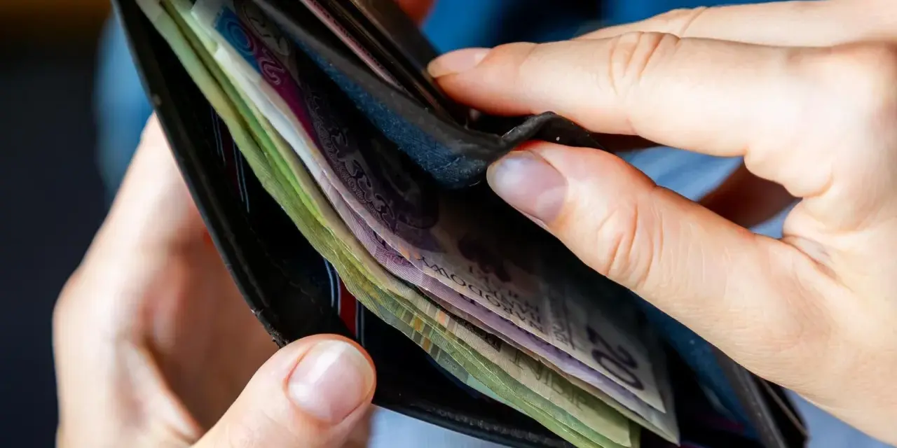Dłonie przeglądają portfel z polskimi banknotami. Czy to początek drogi do dochodu gwarantowanego?
