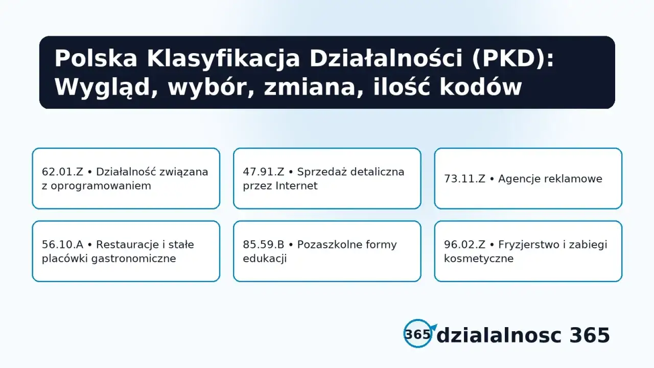 Przykłady kodów PKD: działalność związana z oprogramowaniem, sprzedaż detaliczna przez Internet, agencje reklamowe, gastronomia, edukacja, fryzjerstwo.