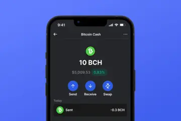 Portfel z 10 BCH, wart 5009,53 USD. Możliwość wysyłki, odbioru i wymiany. Właśnie wysłano -0.3 BCH.